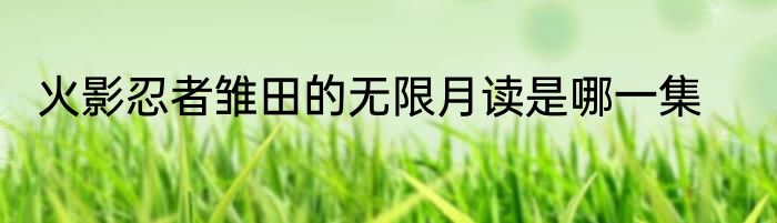 火影忍者雏田的无限月读是哪一集