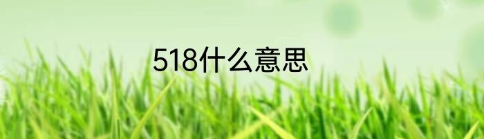518什么意思