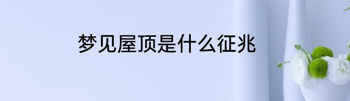 梦见屋顶是什么征兆