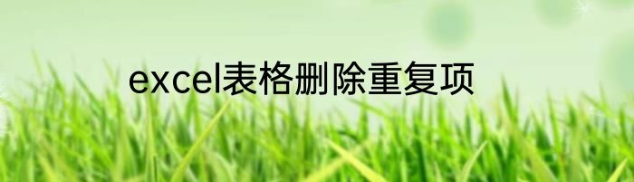 excel表格删除重复项