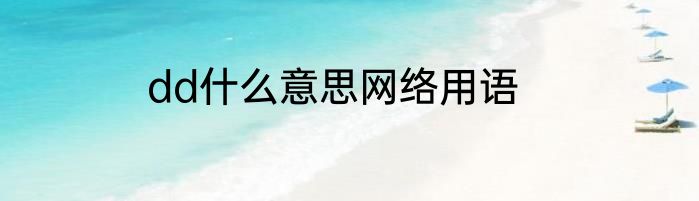 dd什么意思网络用语