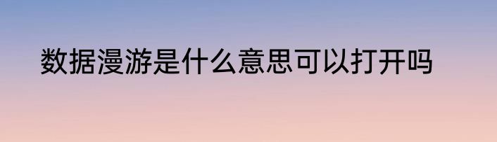 数据漫游是什么意思可以打开吗