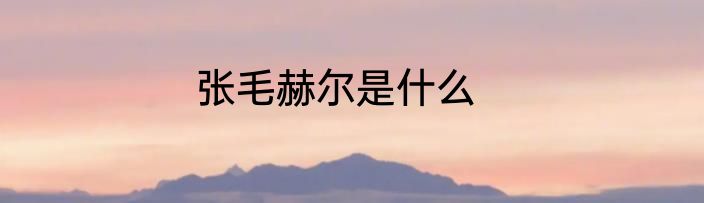 张毛赫尔是什么