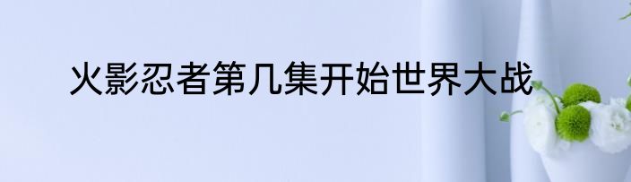 火影忍者第几集开始世界大战