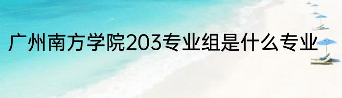 广州南方学院203专业组是什么专业