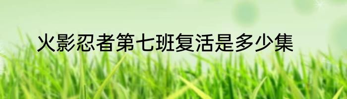 火影忍者第七班复活是多少集