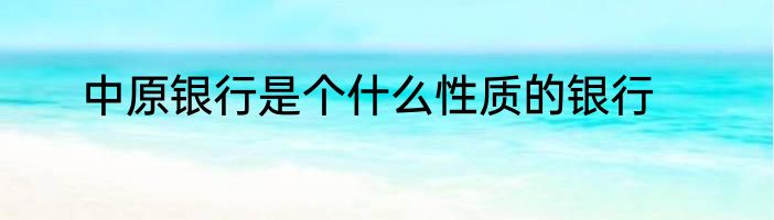 中原银行是个什么性质的银行