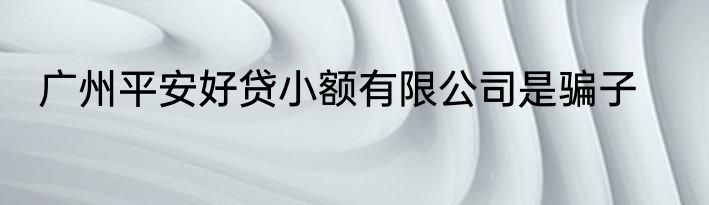 广州平安好贷小额有限公司是骗子