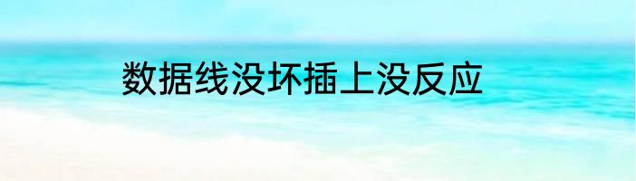 数据线没坏插上没反应