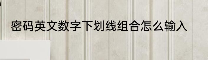 密码英文数字下划线组合怎么输入