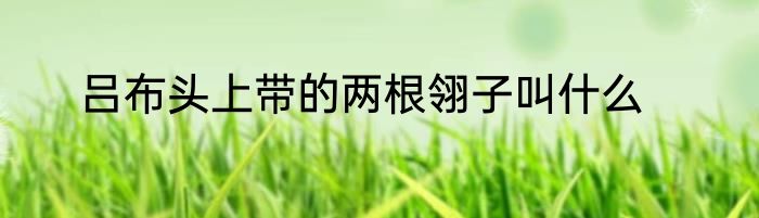 吕布头上带的两根翎子叫什么