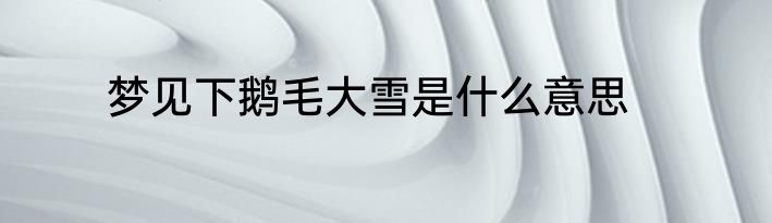 梦见下鹅毛大雪是什么意思