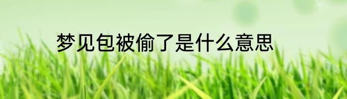 梦见包被偷了是什么意思