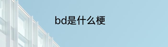 bd是什么梗