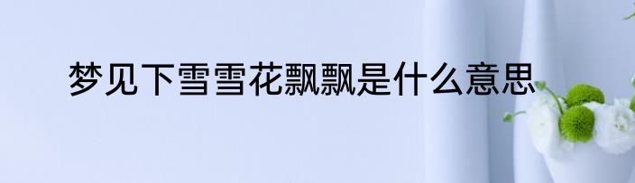梦见下雪雪花飘飘是什么意思