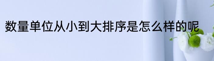 数量单位从小到大排序是怎么样的呢