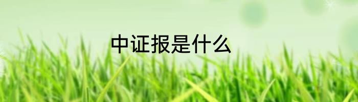 中证报是什么