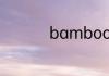 bamboo是可数名词吗
