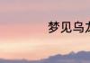 梦见乌龙是什么意思