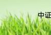 中证报是什么