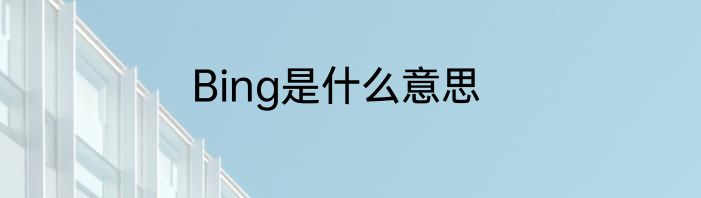 Bing是什么意思