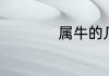 属牛的几月出生好命