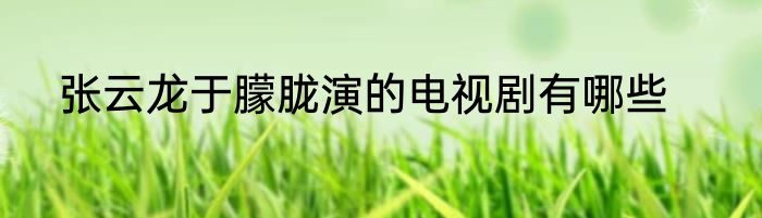 张云龙于朦胧演的电视剧有哪些