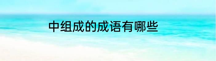 中组成的成语有哪些
