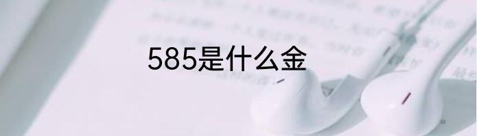 585是什么金