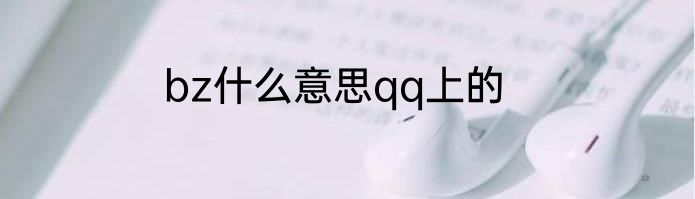 bz什么意思qq上的