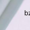 bz什么意思qq上的