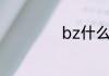 bz什么意思qq上的