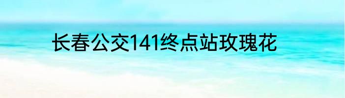 长春公交141终点站玫瑰花