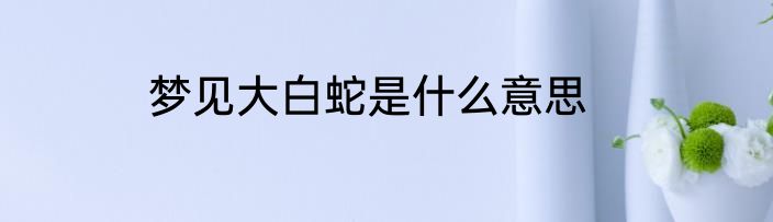 梦见大白蛇是什么意思