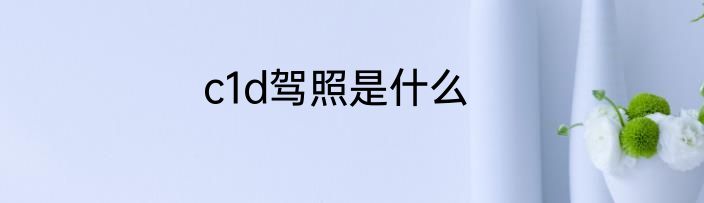 c1d驾照是什么