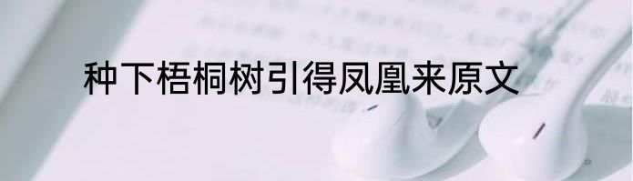 种下梧桐树引得凤凰来原文
