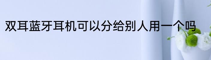 双耳蓝牙耳机可以分给别人用一个吗