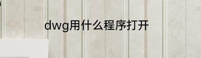 dwg用什么程序打开