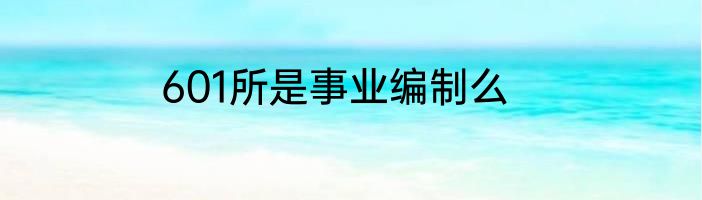 601所是事业编制么