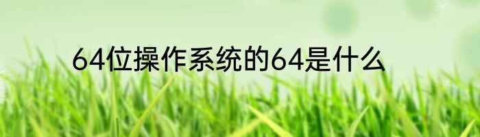 64位操作系统的64是什么