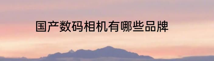 国产数码相机有哪些品牌