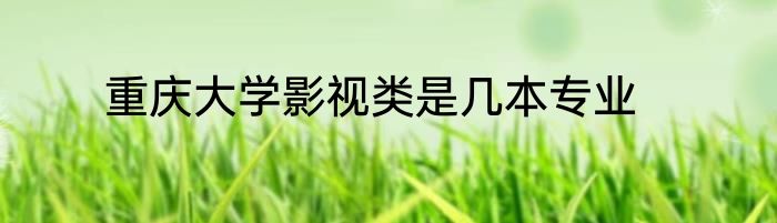 重庆大学影视类是几本专业