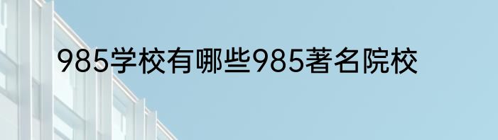 985学校有哪些985著名院校