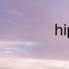 hippo怎么读音发音