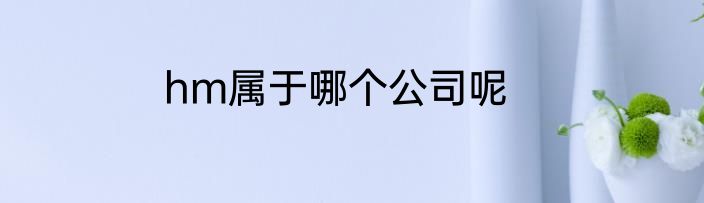 hm属于哪个公司呢