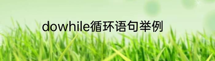 dowhile循环语句举例