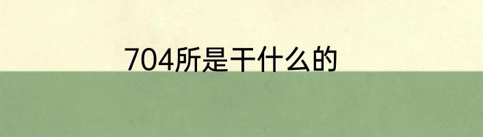 704所是干什么的