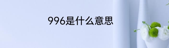 996是什么意思