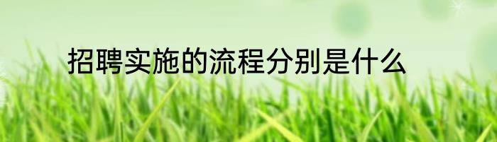 招聘实施的流程分别是什么