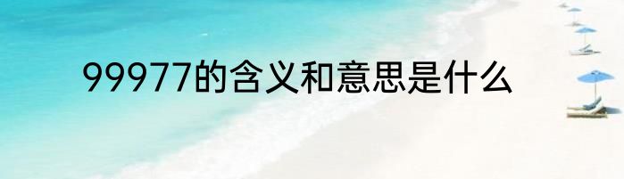 99977的含义和意思是什么